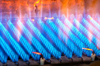 Tresawle gas fired boilers